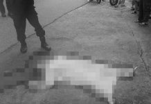 Wanita Muda Tewas Usai Lompat dari Lantai Tiga Hotel di Kundur wanita tewas di hotel