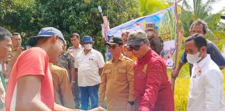 Tantangan Jadi Swasembada Beras, Dispangtan Sebut Karimun Butuh 3,5 Ribu Hektare Lahan