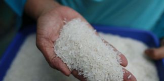 Hampir 80 Persen Warga Karimun Konsumsi Beras Pera, Bulog Diminta Perbanyak Stok Premium