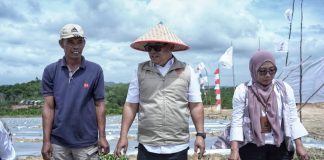 Wagub Nyanyang Hadiri Penanaman Cabai Perdana di Galang Baru