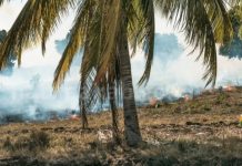 Pemkab Natuna Terbitkan Larangan Buka Lahan dengan Cara Dibakar larangan buka lahan dibakar