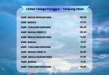 Jadwal Kapal Roro Selasa 10 Februari 2026 Rute Telagapunggur–Tanjunguban
