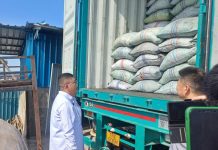 Ekspor Perdana Arang Kelapa ke China, Kadin Dorong UMKM Tembus Pasar Global ekspor arang kelapa