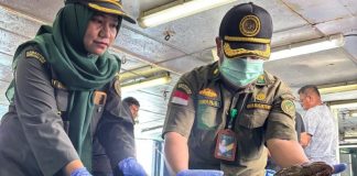 8,3 Ton Ikan Hidup Asal Natuna Tembus Pasar Hong Kong di Awal 2026