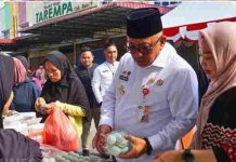 Tinjau GPM, Lis Jamin Pasokan Bahan Pokok Tanjungpinang Terkendali pasokan bahan pokok tanjungpinang