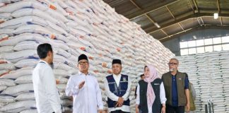 Stok Beras di Kepri Dipastikan Aman hingga Tiga Bulan ke Depan stok beras di kepri