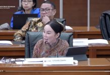 Perdebatan PSN di Batam Mencuat, Status Lahan dan Beban Infrastruktur Disorot Perdebatan PSN di Batam