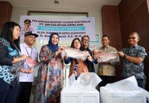 Fillet Ikan Anggoli dari Kepri Tembus Pasar Australia fillet ikan anggoli