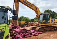 Polda Kepri Musnahkan 27 Ton Bawang Selundupan dari Kapal di Perairan Mantang