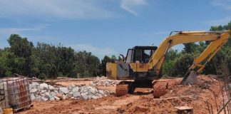 Heboh Soal Penimbunan Hutan Mangrove di Sungai Pasir Meral, Begini Penjelasan Kantah Karimun