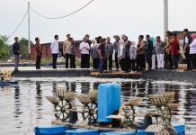 Komisi IX DPR RI Dorong Pengembangan Budidaya Udang Vaname