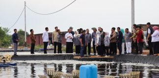 Komisi IX DPR RI Dorong Pengembangan Budidaya Udang Vaname