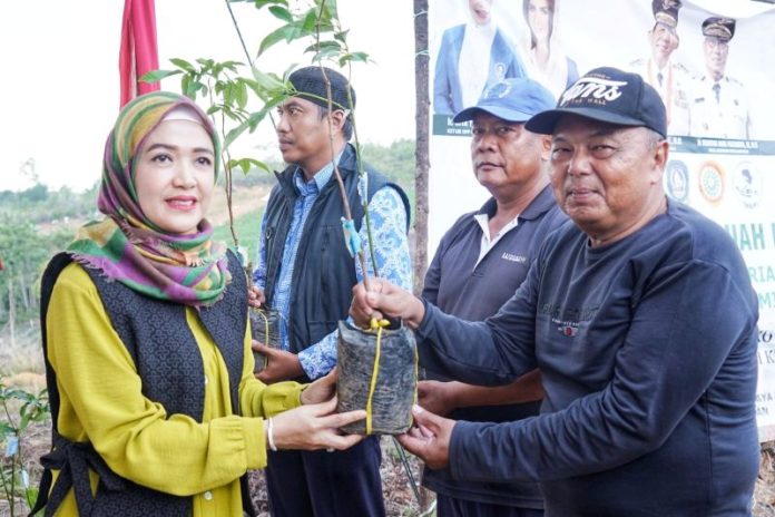 bibit tanaman bintan