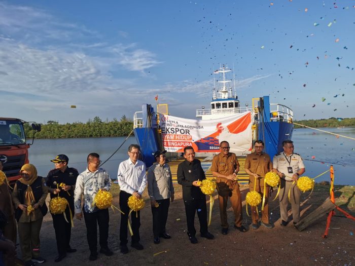 Kepri Satu-satunya Provinsi Pengekspor Ayam Hidup di Indonesia