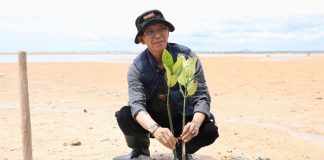 Wali Kota Amsakar dan Mahasiswa Batam Tanam 2.000 Mangrove