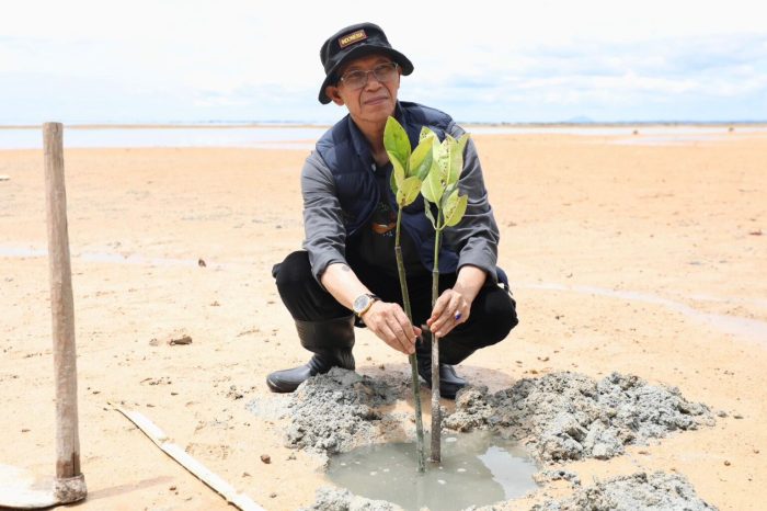 Wali Kota Amsakar dan Mahasiswa Batam Tanam 2.000 Mangrove
