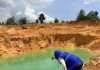 BP Batam Pulihkan Bekas Tambang Pasir Ilegal, Perusak Lingkungan Akan Diberi Sanksi Tegas