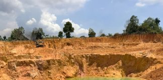 BP Batam Pulihkan Bekas Tambang Pasir Ilegal, Perusak Lingkungan Akan Diberi Sanksi Tegas