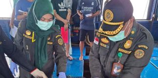 Ekspor Ikan Hidup dari Natuna Tembus Rp 1,2 Miliar, Didominasi Kerapu untuk Pasar Hong Kong