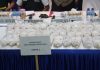 Rugikan Negara Rp10 Miliar, 100 Ribu Benih Lobster Diamankan Polda Kepri