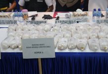 Rugikan Negara Rp10 Miliar, 100 Ribu Benih Lobster Diamankan Polda Kepri