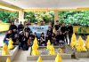 Promosikan Wisata Sejarah, SWARA Batam Telusuri Jejak Nong Isa