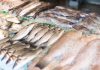 Pemkab Natuna Kebut Pembangunan Pasar Ikan Ranai