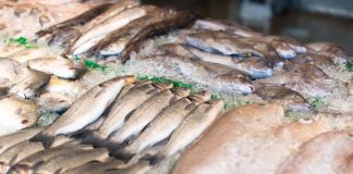 Pemkab Natuna Kebut Pembangunan Pasar Ikan Ranai