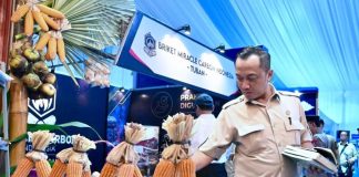 Mensesneg Sebut Cadangan Beras RI Cetak Sejarah, Tembus 5,3 Juta Ton cadangan beras RI