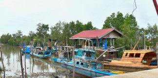 Dibangun Pakai APBD Kepri, Tambatan Perahu Teluk Umah Dukung Produktivitas Nelayan