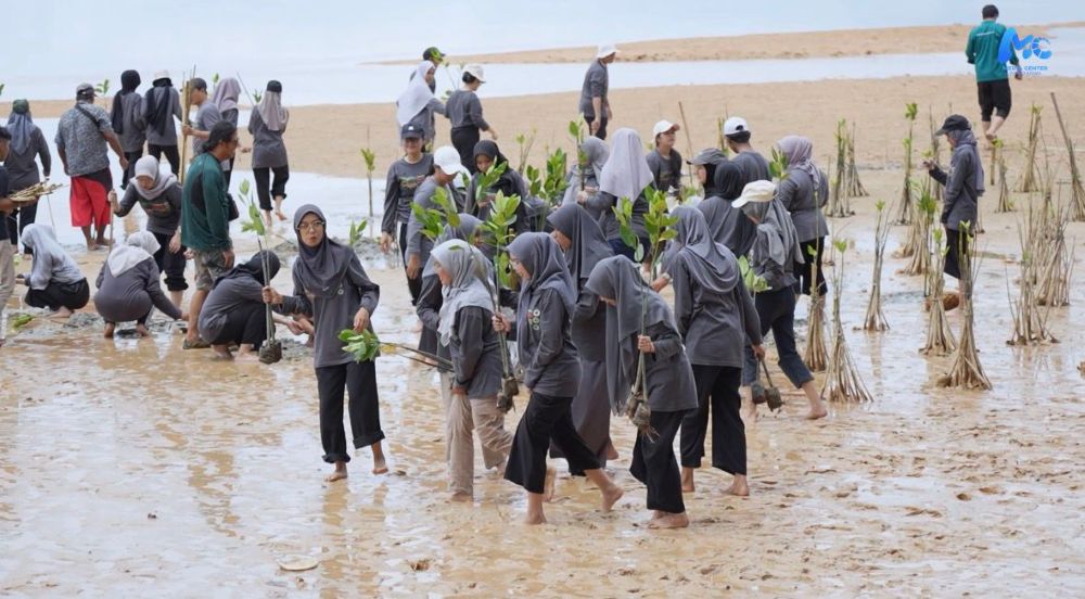 Mahasiswa dan Amsakar Kompak Tanam Mangrove di Pesisir Nongsa
