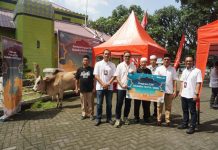 Sasar Wilayah Rentan, Telkomsel Salurkan Ratusan Hewan Kurban hewan kurban telkomsel