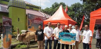 Sasar Wilayah Rentan, Telkomsel Salurkan Ratusan Hewan Kurban hewan kurban telkomsel