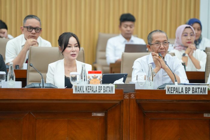 Komisi VI DPR RI Apresiasi Kinerja BP Batam: Dukung Penguatan Anggaran dan Percepatan Program Investasi Tahun 2027