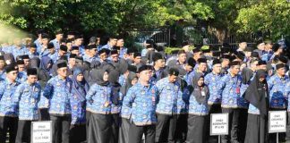 Ratusan Guru Pensiun, Pemko Tanjungpinang Usulkan Formasi CPNS formasi cpns guru