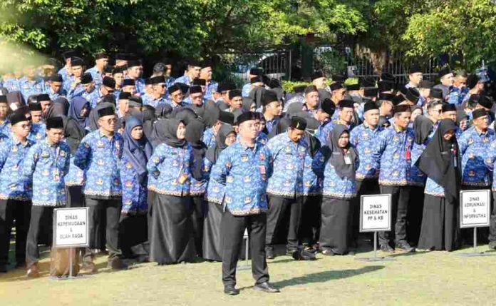 formasi cpns guru