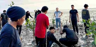 Tak Sekadar Wisata, Pelajar Singapura Jalani Kehidupan Warga Penyengat pelajar singapura di penyengat
