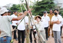 Pemko Batam Mulai Tata DAS Baloi Indah Jadi Taman Kota