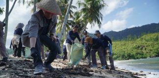 Tanam 3.000 Mangrove di Pesisir Selatan, Masyarakat Diajak Ikut Jaga Ekosistem Pesisir