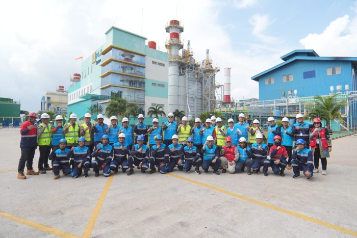Swedia Dukung Penguatan Listrik Batam, Tambahan Pembangkit 300 MW Disiapkan untuk Dongkrak Investasi