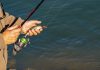 Sulit Bawa Pulang Ikan, Wisata Mancing Tanjungpinang Terdampak wisata mancing tanjungpinang