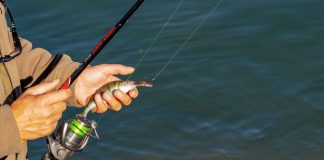 Sulit Bawa Pulang Ikan, Wisata Mancing Tanjungpinang Terdampak wisata mancing tanjungpinang