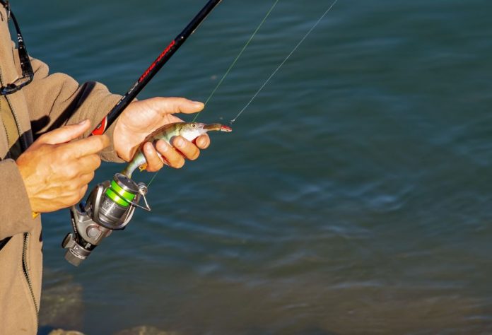 wisata mancing tanjungpinang