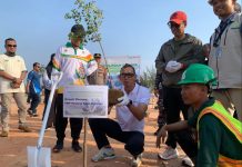 PT Pelindo dan Pemkab Tanam Ratusan Pohon di Kawasan Coastal Area