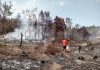 Kebakaran 30 Hektare Lahan di Lingga Masuk Hari ke-14, Petugas Upayakan Memutus Jalur Api