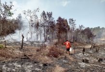 Kebakaran 30 Hektare Lahan di Lingga Masuk Hari ke-14, Petugas Upayakan Memutus Jalur Api