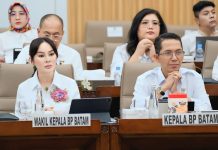 RKA 2027 Rp2,44 Triliun, BP Batam Perkuat Infrastruktur dan Percepatan Investasi