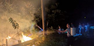 Karhutla di Batam: Api di Sembulang dan Tembesi Padam, Dua Titik Masih Dipantau