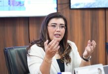 Setahun, 1.182 Permohonan Izin Usaha Masuk BP Batam, 284 Ditolak