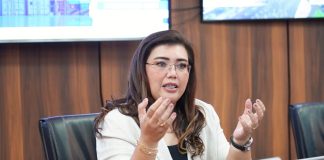 Setahun, 1.182 Permohonan Izin Usaha Masuk BP Batam, 284 Ditolak